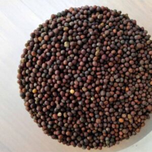 Mustard Seed ama foods