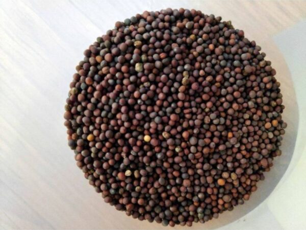 Mustard Seed ama foods